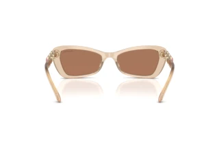 Vue arrière Swarovski SK6033 (106673)