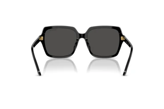 Vue arrière Swarovski SK6034D (100187)