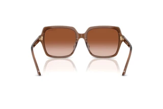 Vue arrière Swarovski SK6034D (106713)