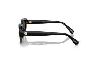 Vue latérale Swarovski SK6035D (100187)