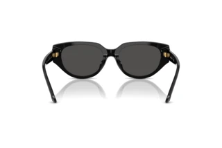 Vue arrière Swarovski SK6035D (100187)