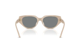 Vue arrière Swarovski SK6035D (106887)