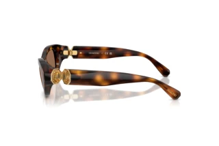 Vue latérale Swarovski SK6036U (100273)