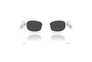 Vue arrière Swarovski SK6036U (105087)