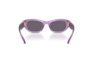 Vue arrière Swarovski SK6036U (10751A)