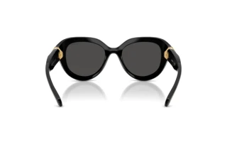 Vue arrière Swarovski SK6037 (100187)