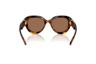 Vue arrière Swarovski SK6037 (100273)