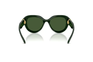 Vue arrière Swarovski SK6037 (102671)