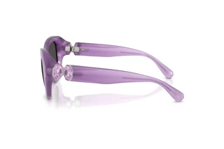 Vue latérale Swarovski SK6037 (107587)