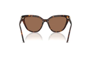 Vue arrière Swarovski SK6039 (100273)