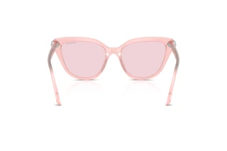 Vue arrière Swarovski SK6039 (1041P5)