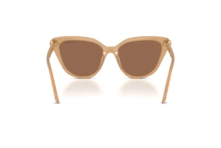 Vue arrière Swarovski SK6039 (2002OK)