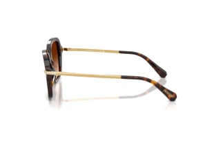 Vue latérale Swarovski SK6040 (100274)