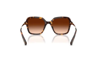 Vue arrière Swarovski SK6040 (100274)