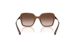 Vue arrière Swarovski SK6040 (106713)