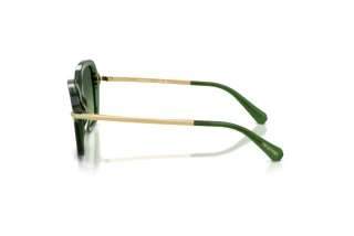 Vue latérale Swarovski SK6040 (10812A)