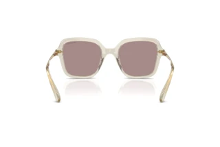 Vue arrière Swarovski SK6040 (3003LA)