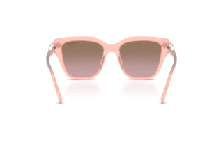 Vue arrière Swarovski SK6041 (104114)