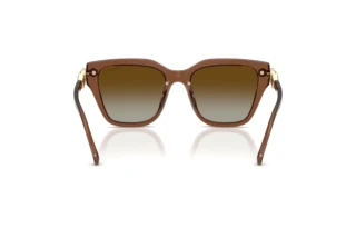 Vue arrière Swarovski SK6041 (1067T5)