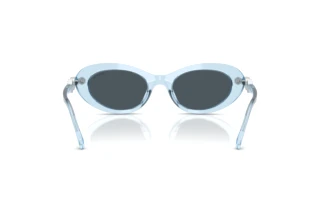 Vue arrière Swarovski SK6042 (107887)