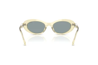 Vue arrière Swarovski SK6042 (1080/1)