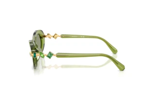 Vue latérale Swarovski SK6042 (3002/2)