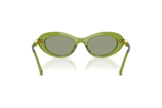 Vue arrière Swarovski SK6042 (3002/2)