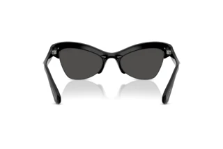 Vue arrière Swarovski SK6043 (100187)