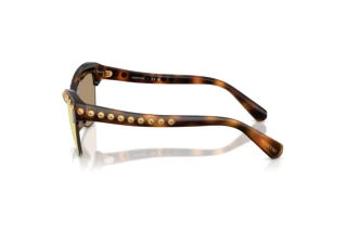 Vue latérale Swarovski SK6043 (100271)