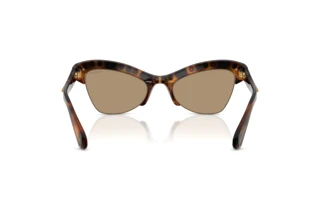 Vue arrière Swarovski SK6043 (100271)