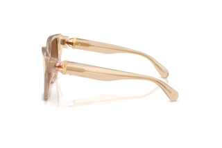 Vue latérale Swarovski SK6044U (103413)