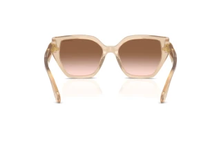 Vue arrière Swarovski SK6044U (103413)