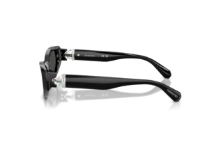 Vue latérale Swarovski SK6045U (100187)