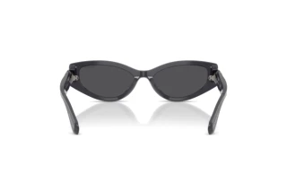 Vue arrière Swarovski SK6045U (10836G)