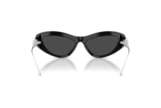 Vue arrière Swarovski SK6046 (100187)