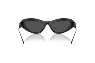 Vue arrière Swarovski SK6046 (10206G)