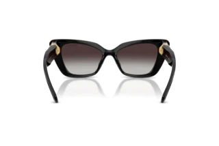 Vue arrière Swarovski SK6047 (10018G)