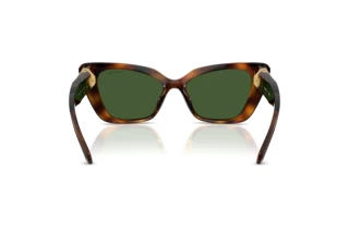 Vue arrière Swarovski SK6047 (100271)