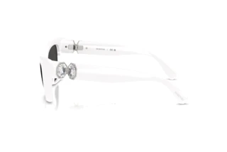 Vue latérale Swarovski SK6047 (105087)