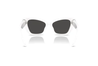 Vue arrière Swarovski SK6047 (105087)