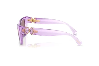 Vue latérale Swarovski SK6047 (1079LA)