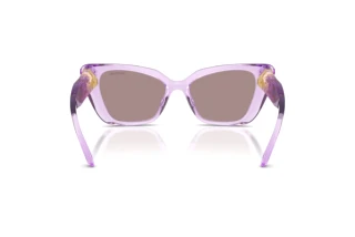 Vue arrière Swarovski SK6047 (1079LA)