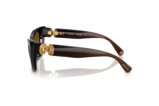 Vue latérale Swarovski SK6047 (1084T5)