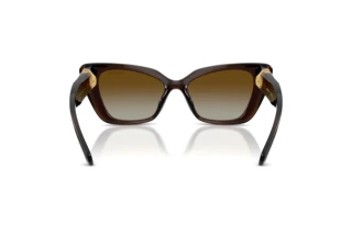 Vue arrière Swarovski SK6047 (1084T5)