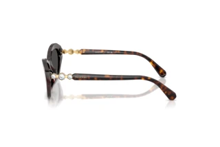 Vue latérale Swarovski SK6048 (100287)