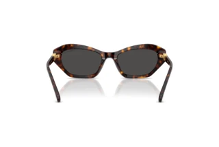 Vue arrière Swarovski SK6048 (100287)