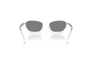 Vue arrière Swarovski SK6048 (102787)