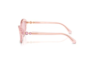 Vue latérale Swarovski SK6048 (1070P5)