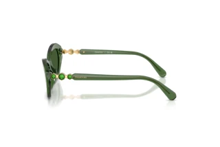 Vue latérale Swarovski SK6048 (108571)