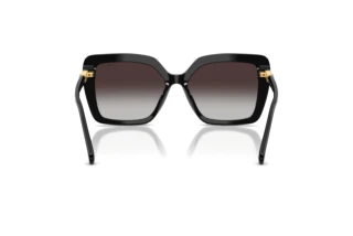 Vue arrière Swarovski SK6049 (10018G)